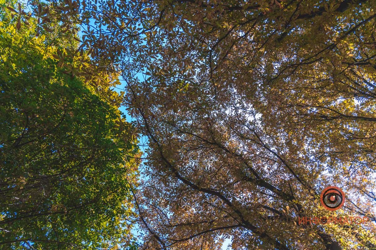 Тонкая грань между летом и осенью 