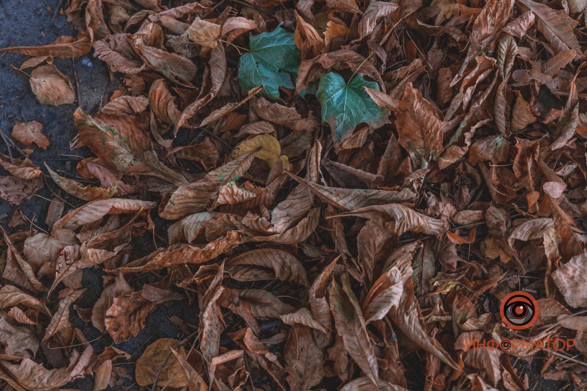 Сухой, жаркий август 