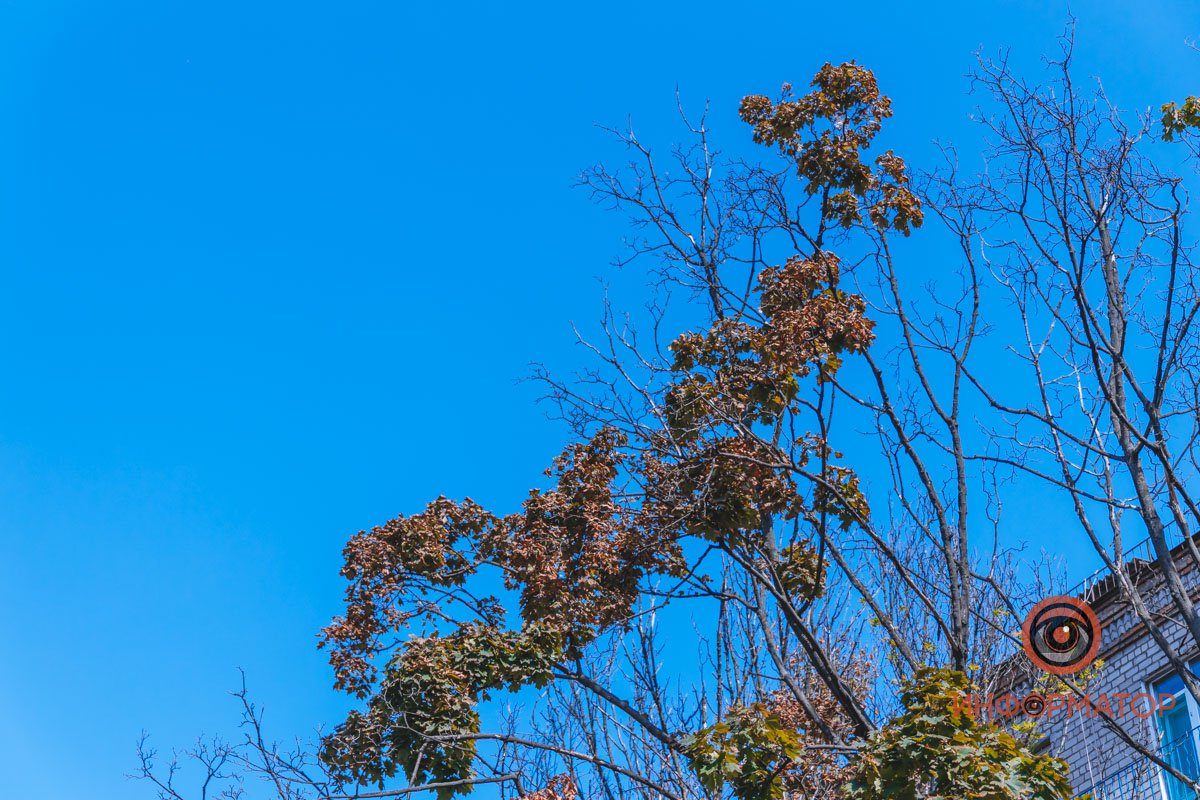 Уже все готовится к смене сезона, даже небо 