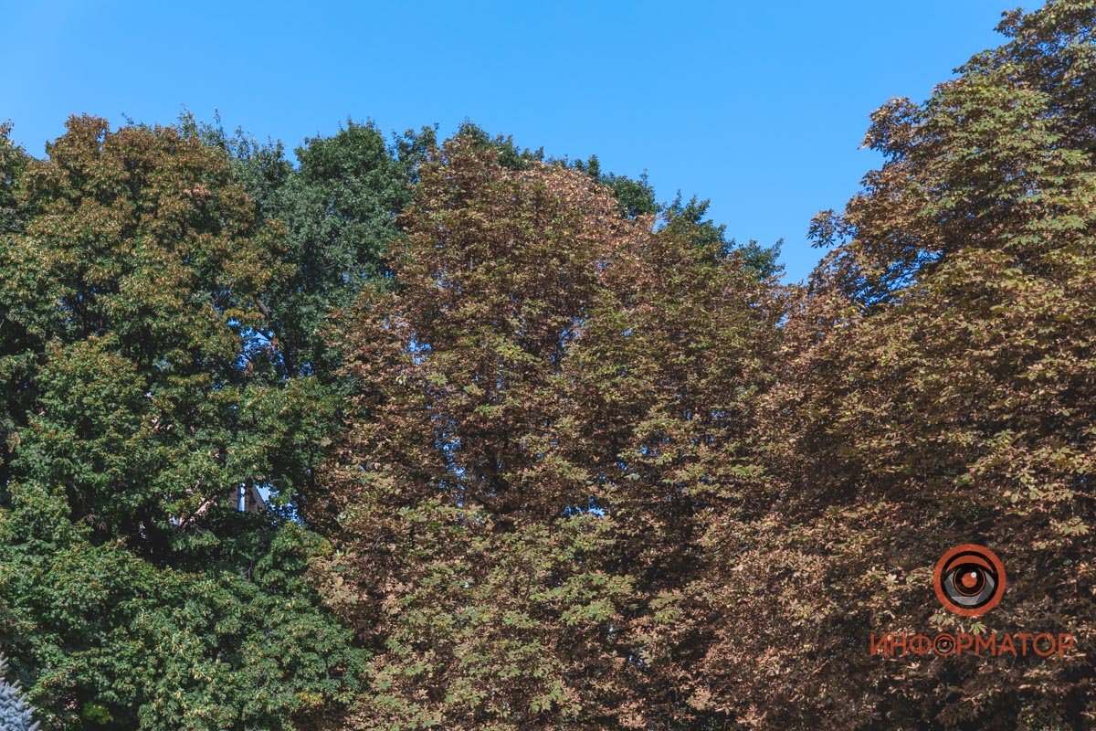 Осенний настрой природы 