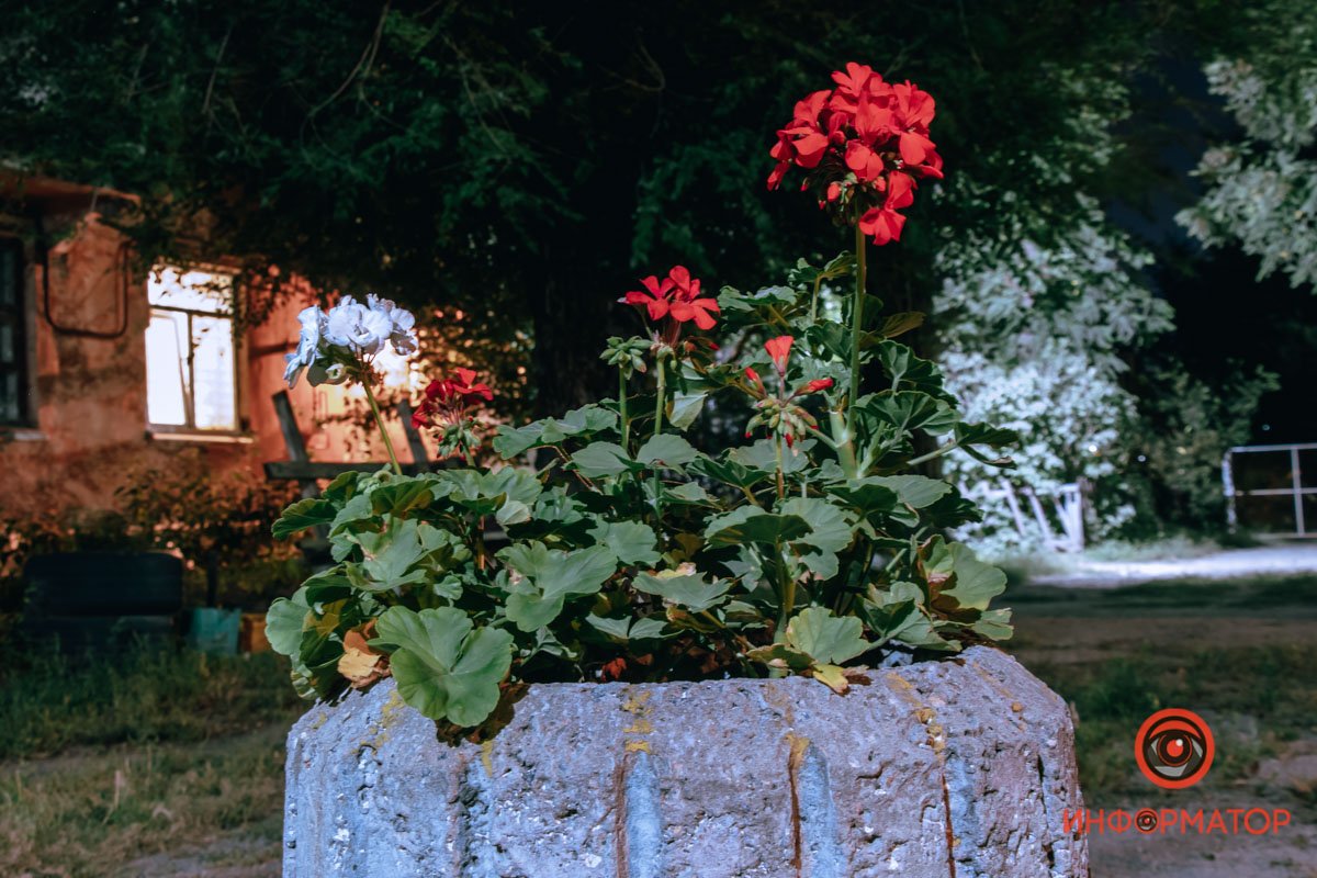 Цветы это прекрасно Цветы это прекрасно