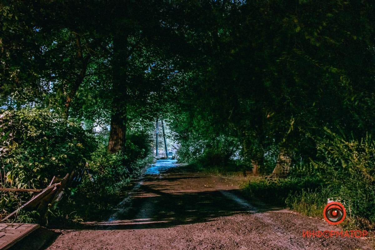 Идеальное время для прогулок Идеальное время для прогулок