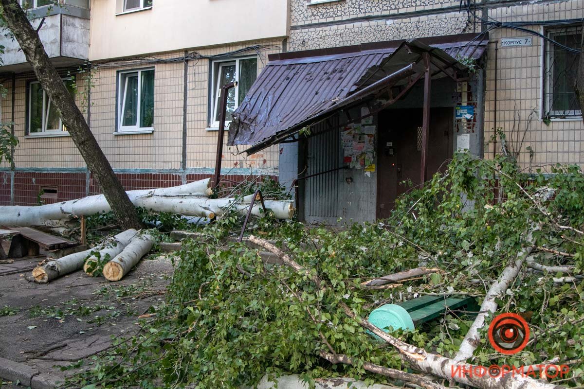 Оборванные провода и побитые окна: в Днепре на Янтарной на подъезд упало дерево 2