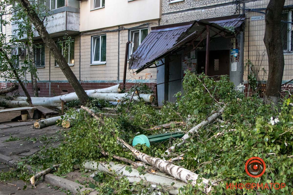 Оборванные провода и побитые окна: в Днепре на Янтарной на подъезд упало дерево 3