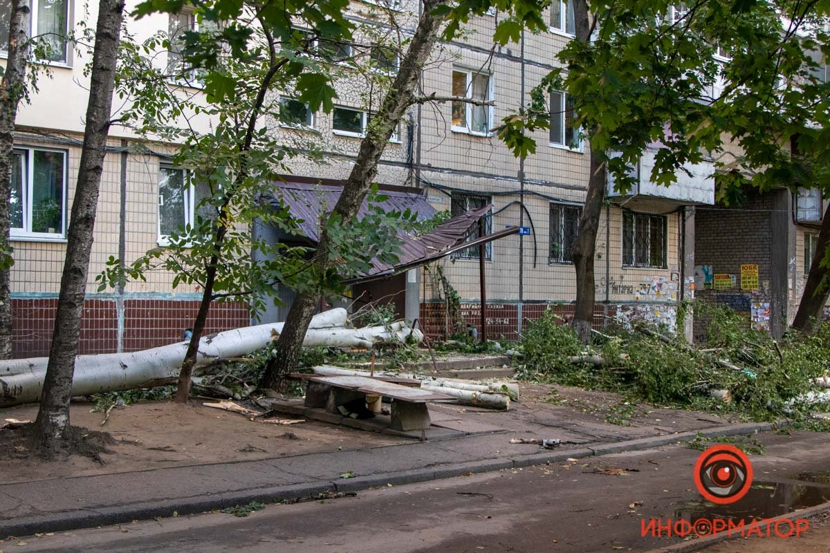 Оборванные провода и побитые окна: в Днепре на Янтарной на подъезд упало дерево 11