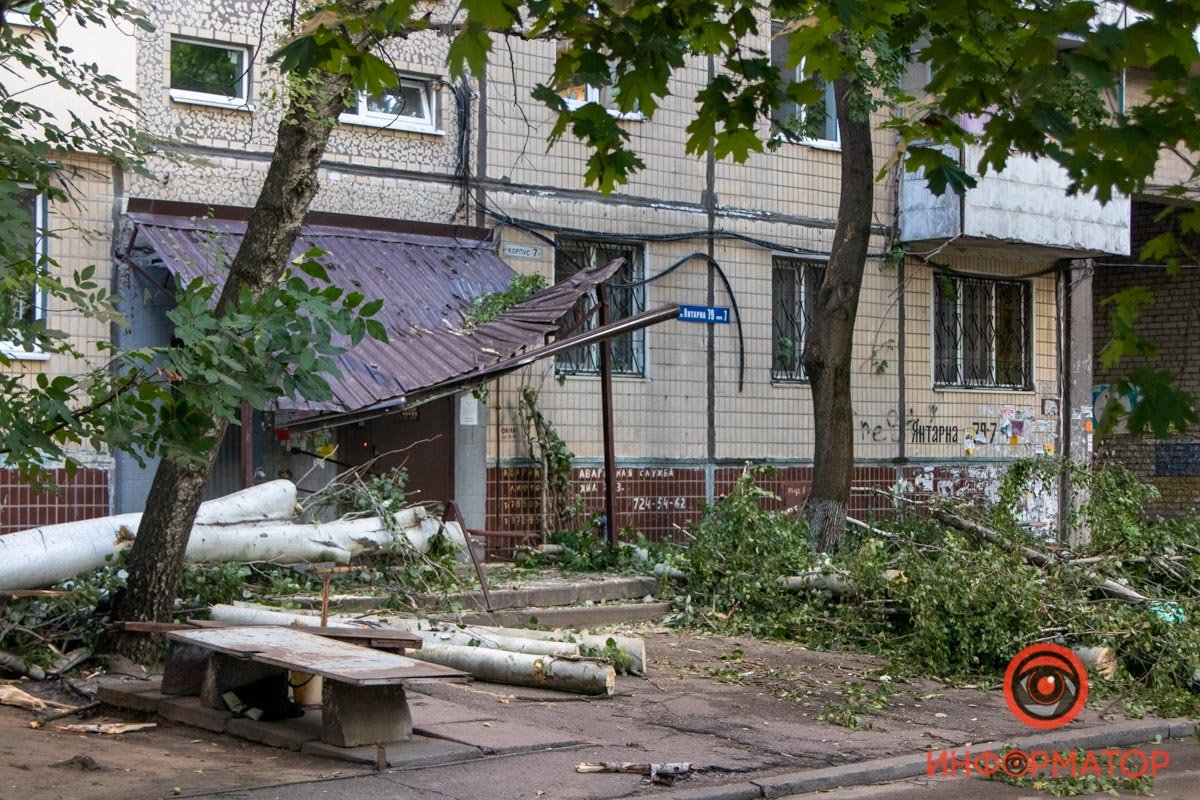 Оборванные провода и побитые окна: в Днепре на Янтарной на подъезд упало дерево 12