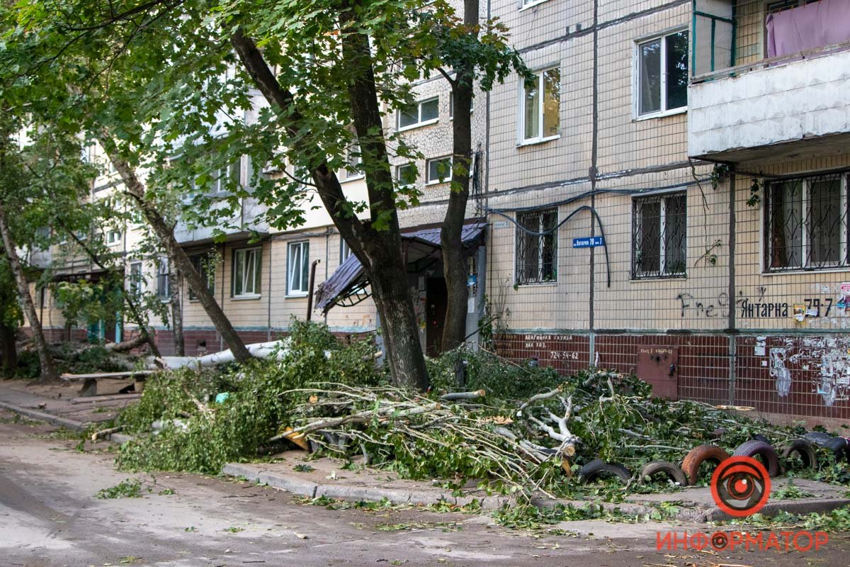 Оборванные провода и побитые окна: в Днепре на Янтарной на подъезд упало дерево 14