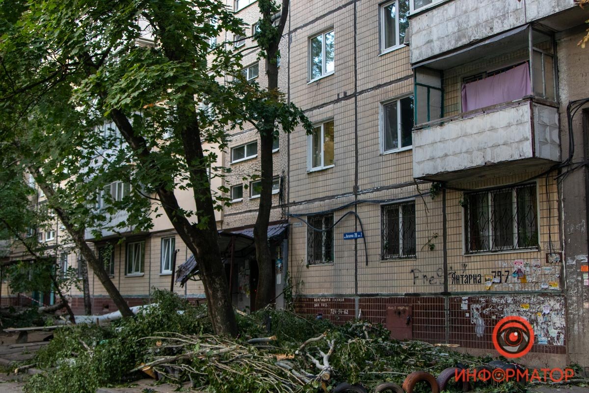 Оборванные провода и побитые окна: в Днепре на Янтарной на подъезд упало дерево 16