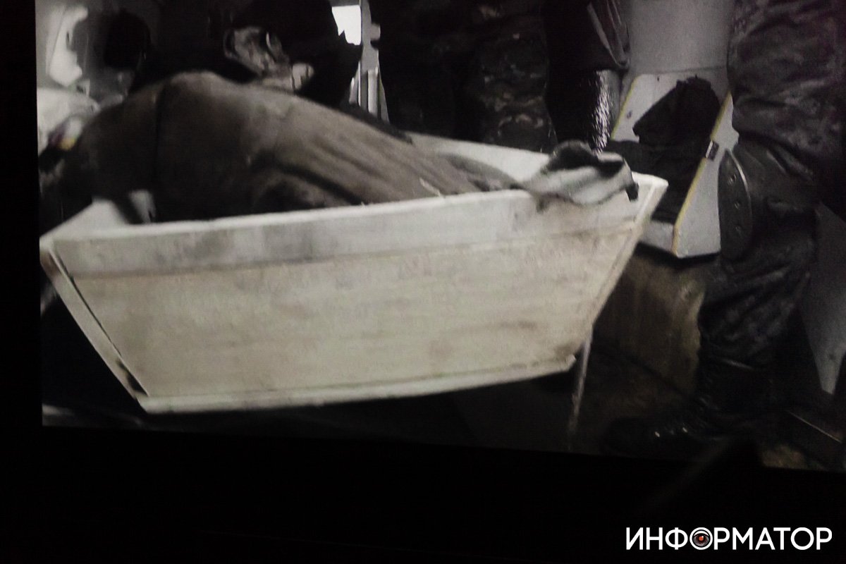 Фото: Дмитрий Федоров