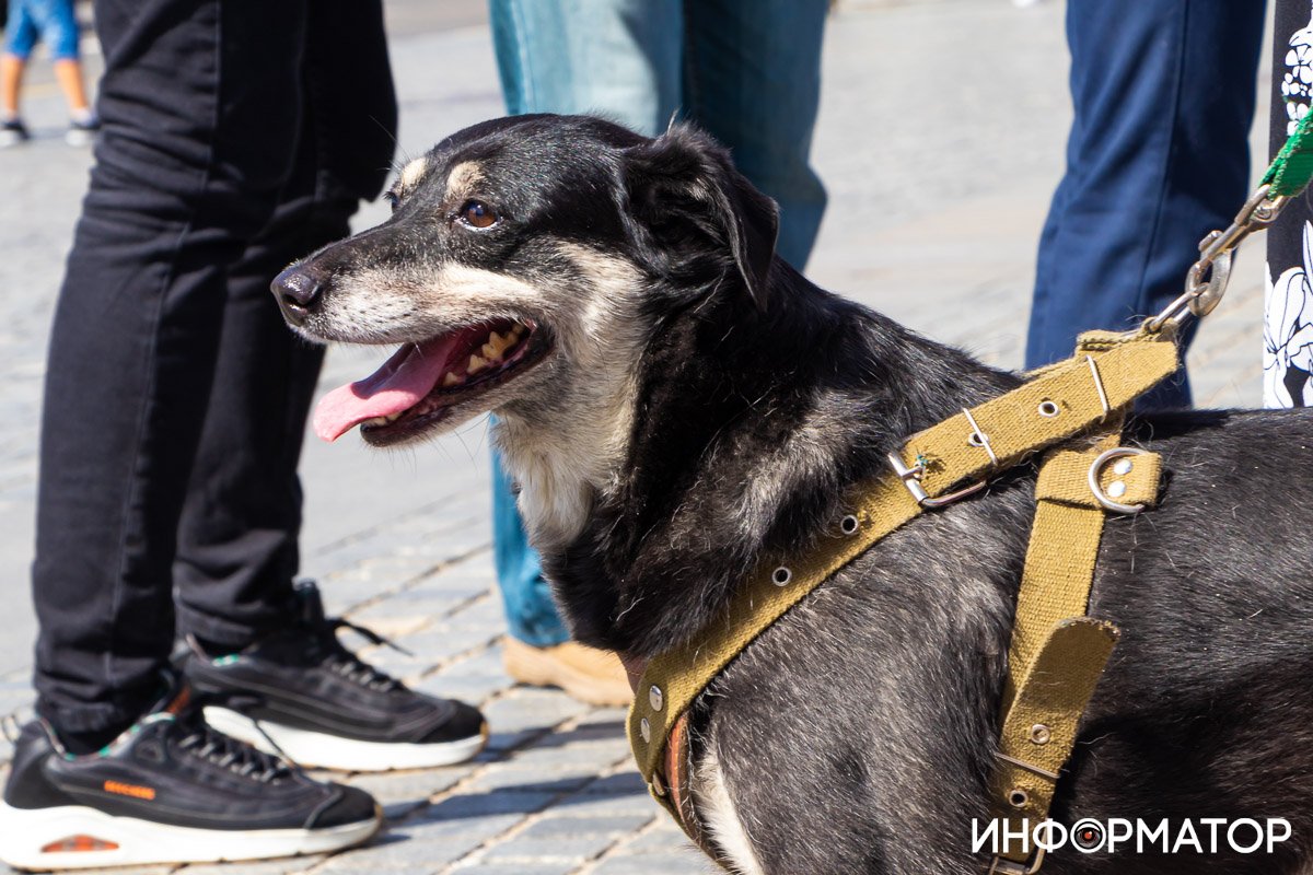 Фото: Дмитрий Федоров Фото: Дмитрий Федоров