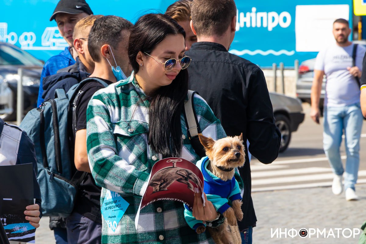 Фото: Дмитрий Федоров Фото: Дмитрий Федоров