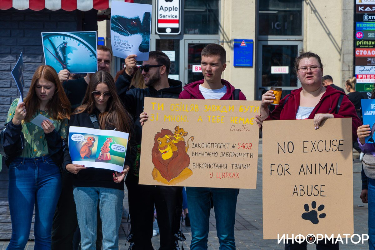 Фото: Дмитрий Федоров Фото: Дмитрий Федоров