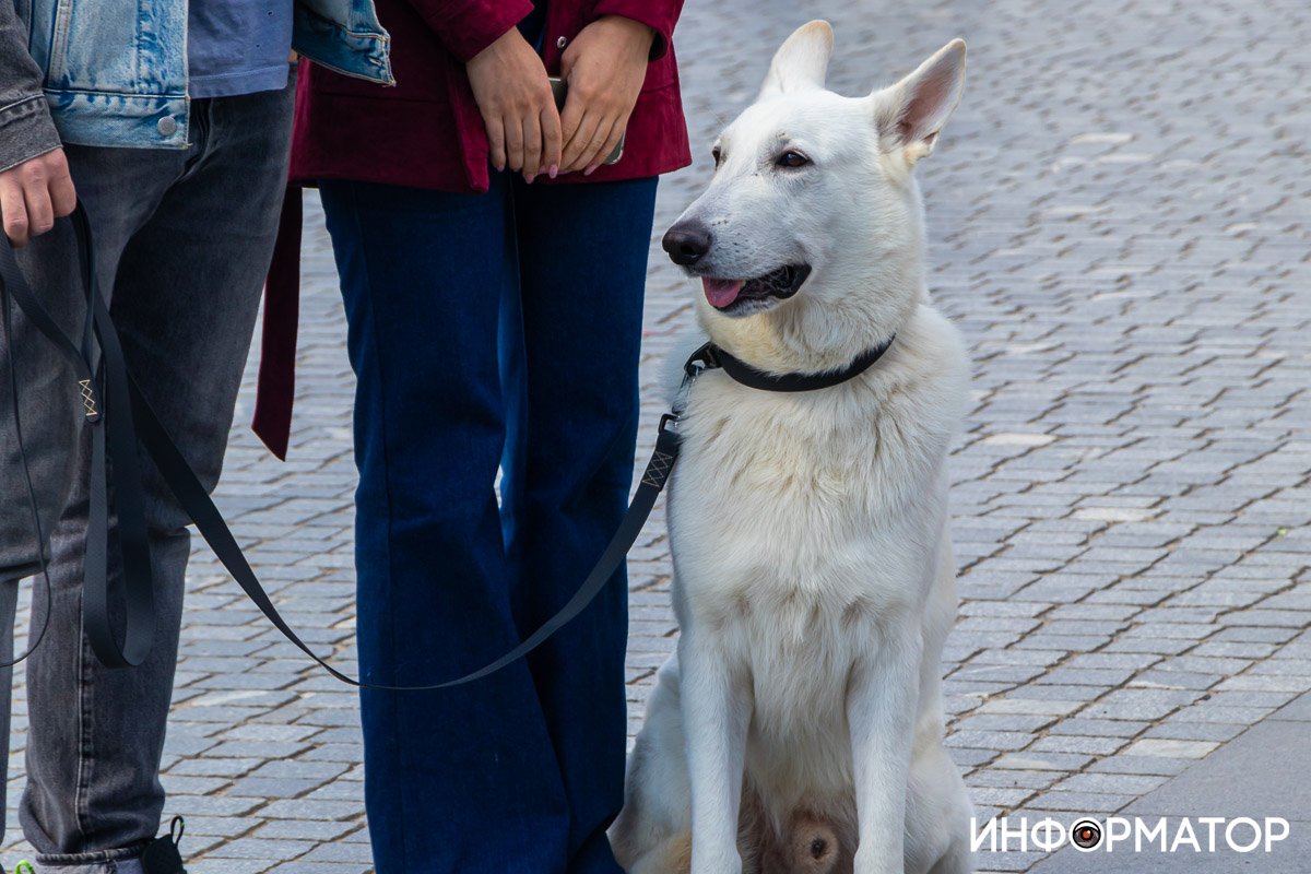 Фото: Дмитрий Федоров Фото: Дмитрий Федоров