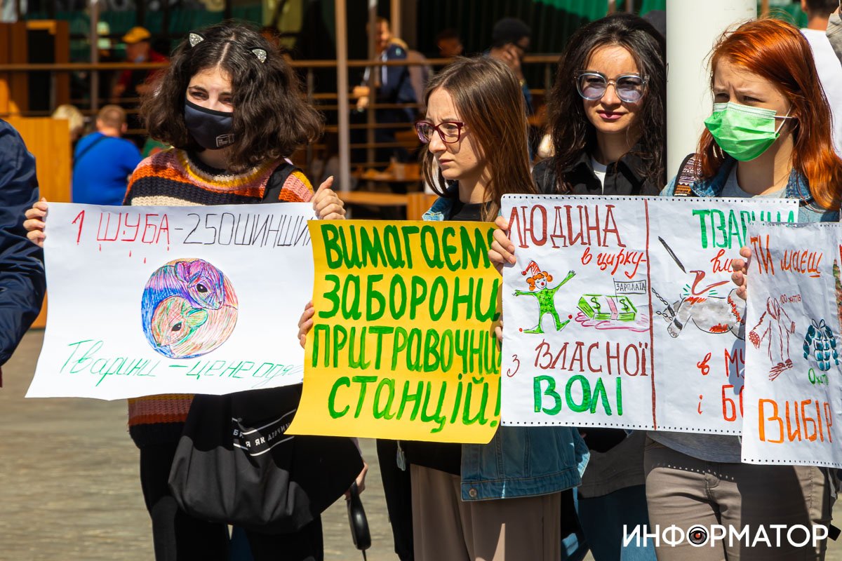 Фото: Дмитрий Федоров Фото: Дмитрий Федоров