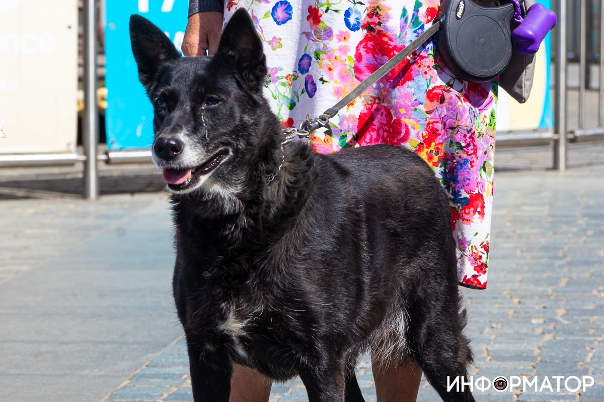 Фото: Дмитрий Федоров Фото: Дмитрий Федоров
