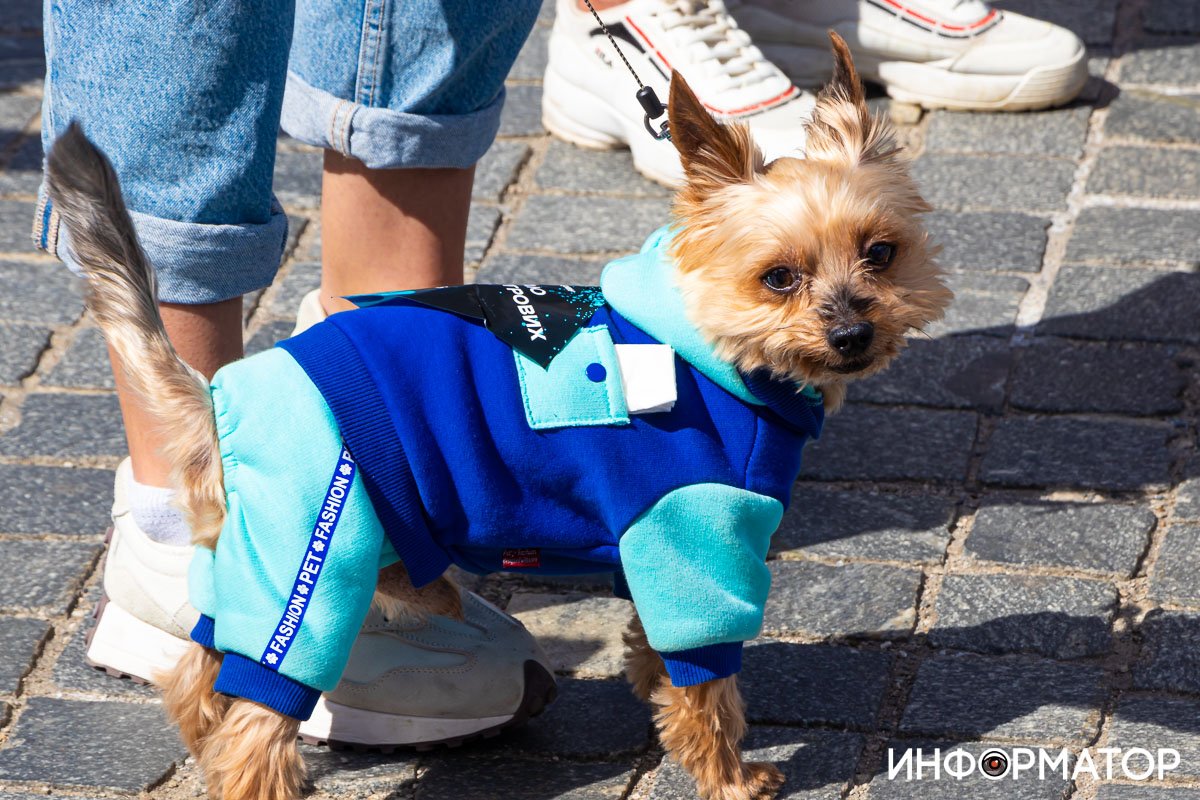 Фото: Дмитрий Федоров Фото: Дмитрий Федоров