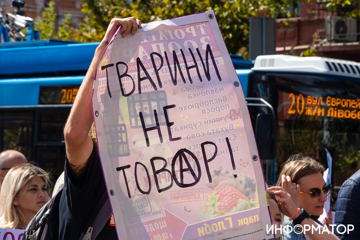 Фото: Дмитрий Федоров Фото: Дмитрий Федоров