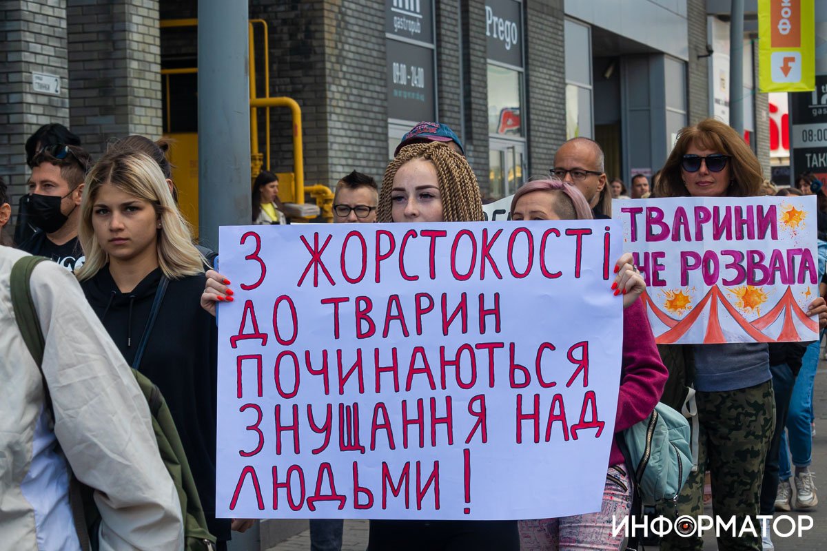 Фото: Дмитрий Федоров Фото: Дмитрий Федоров