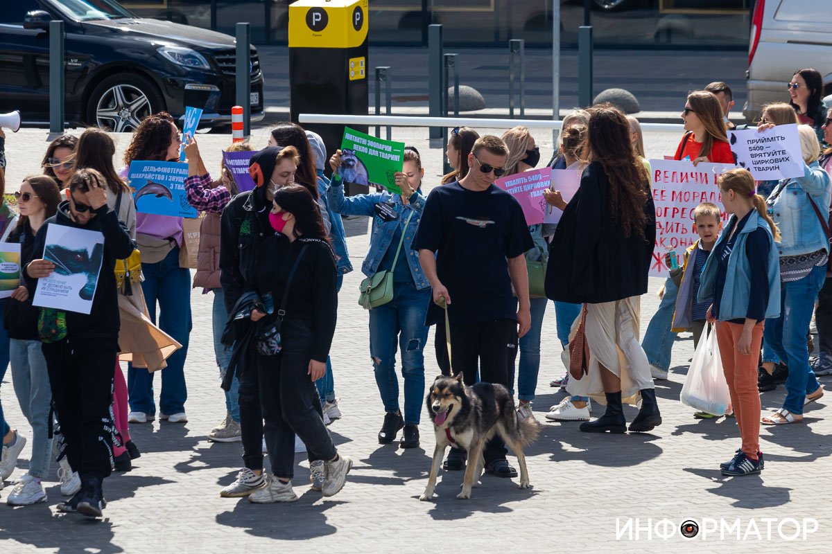Фото: Дмитрий Федоров Фото: Дмитрий Федоров