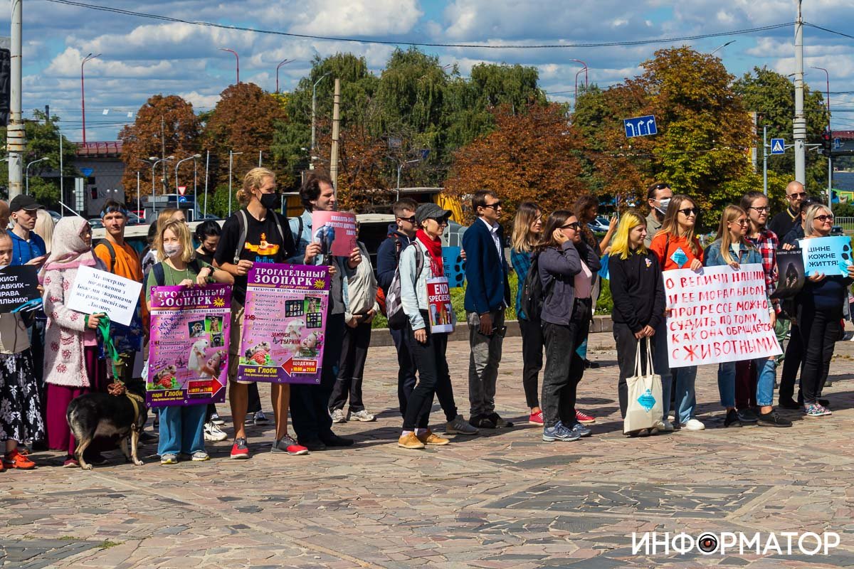 Фото: Дмитрий Федоров Фото: Дмитрий Федоров