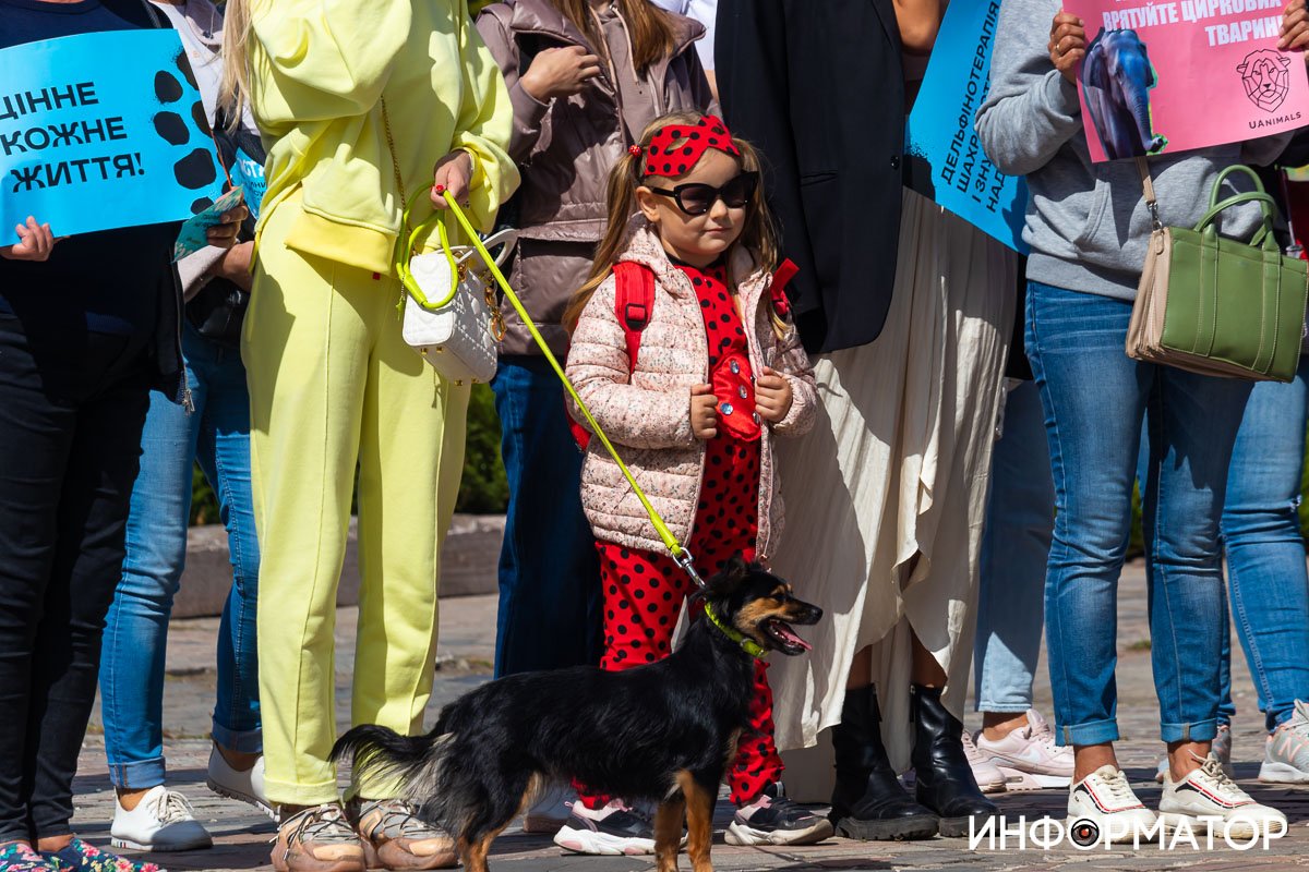 Фото: Дмитрий Федоров Фото: Дмитрий Федоров