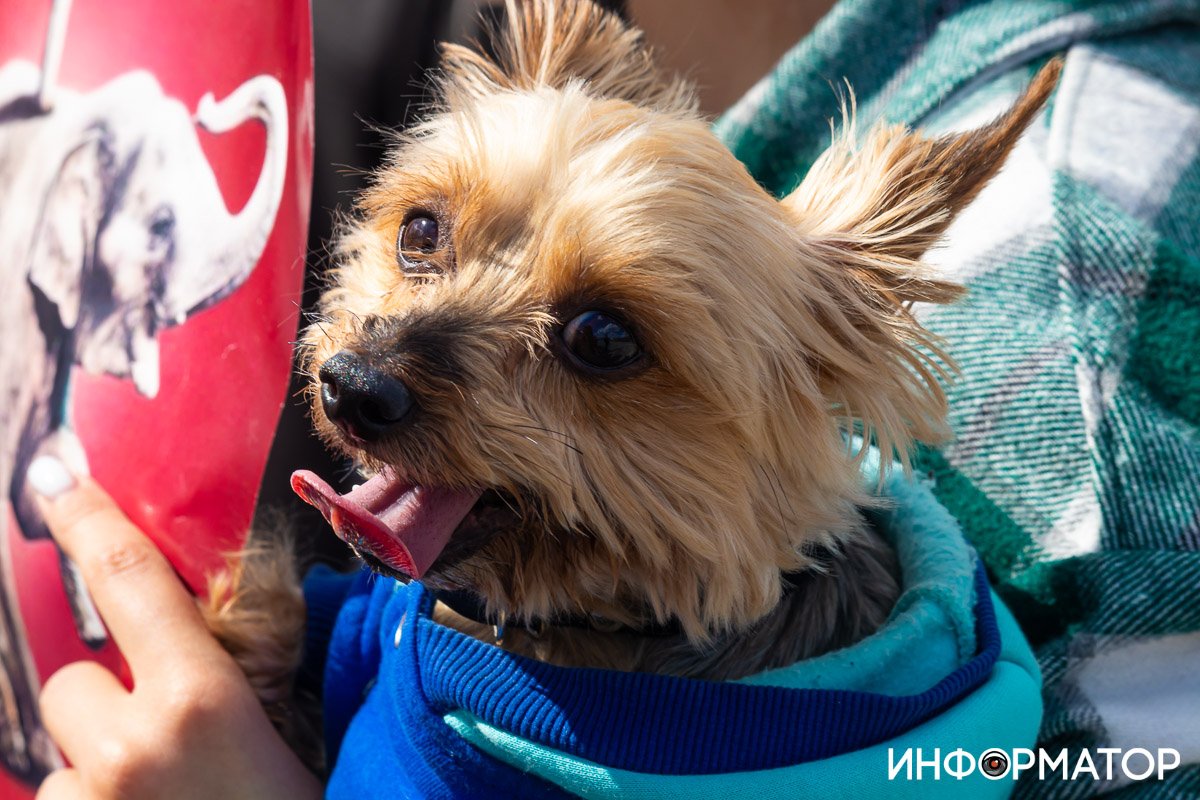 Фото: Дмитрий Федоров Фото: Дмитрий Федоров