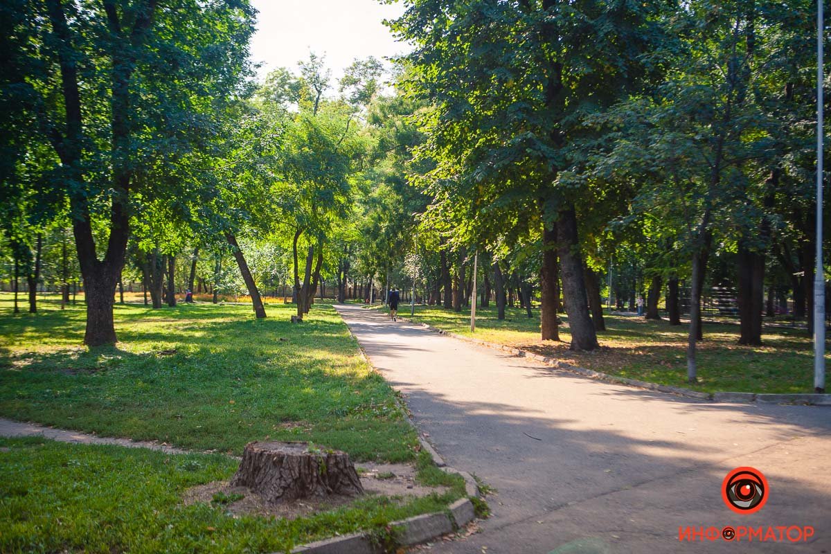 Греется в лучах