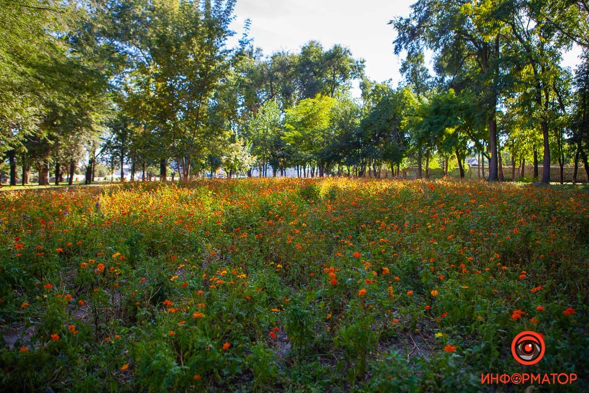 Зеленый уголок