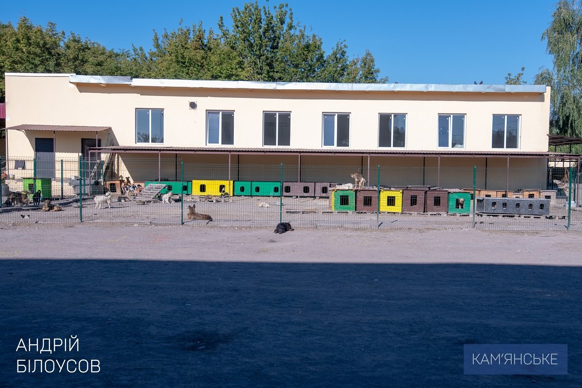 Мэр Каменского посетил приют для бездомных животных 8