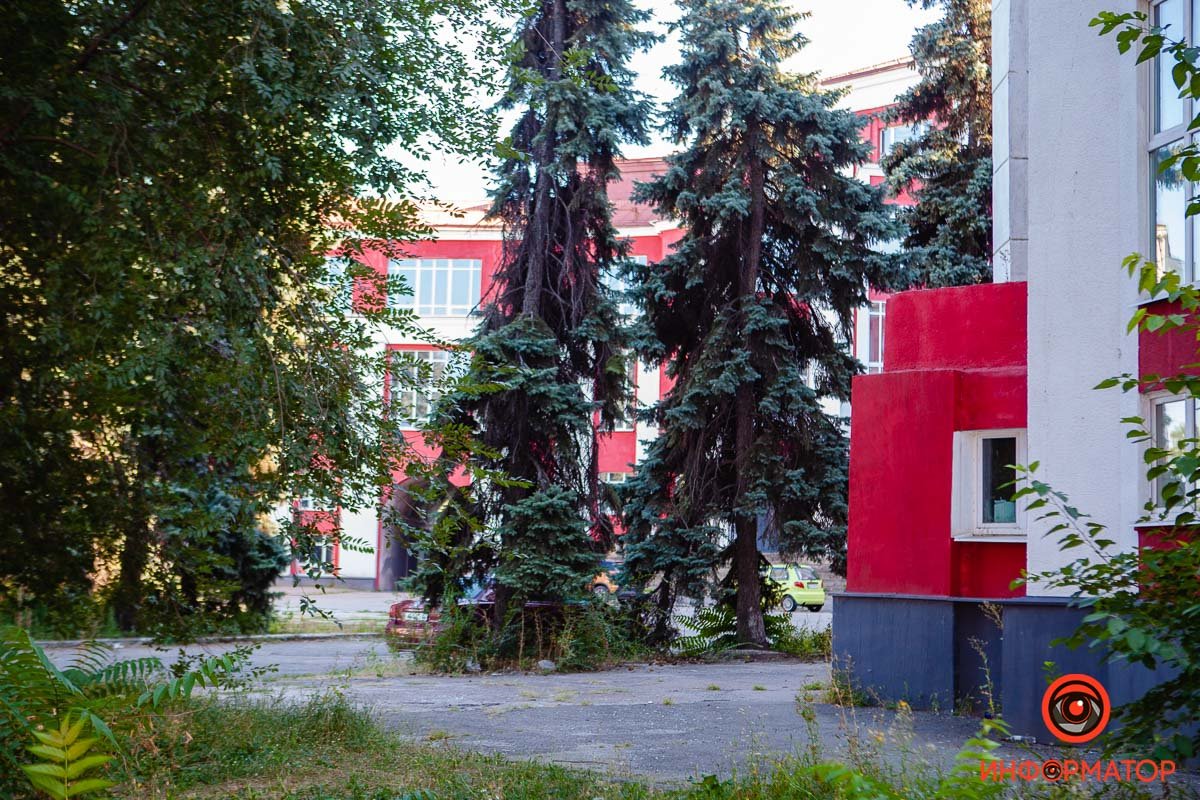 Фото: Максим Якушев Фото: Максим Якушев