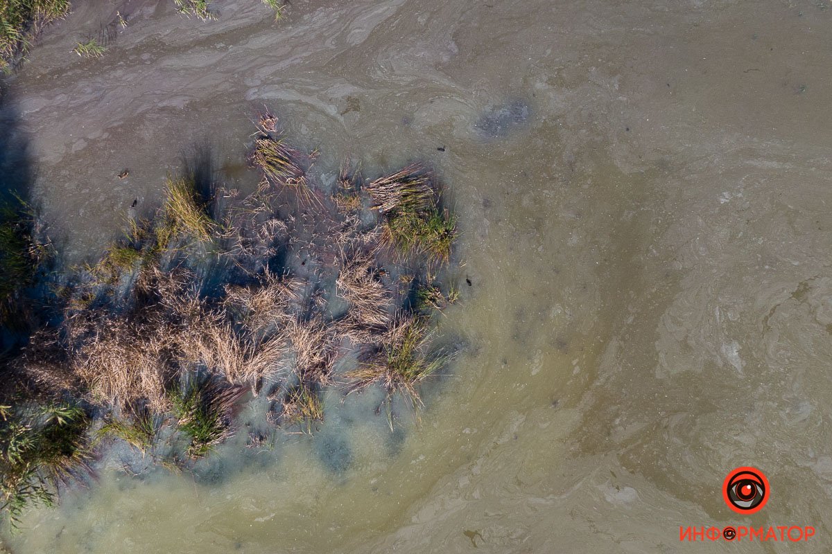 Фото Максим Якушев