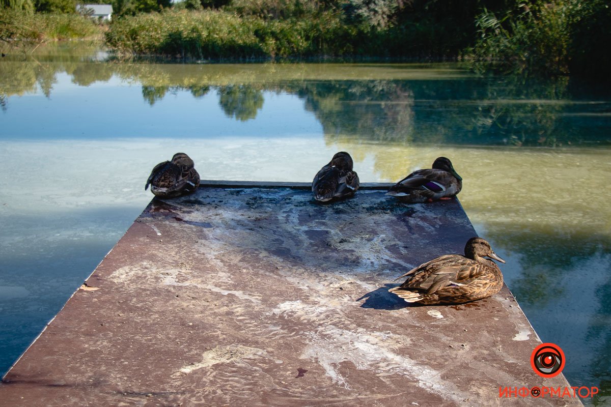 Фото Максим Якушев