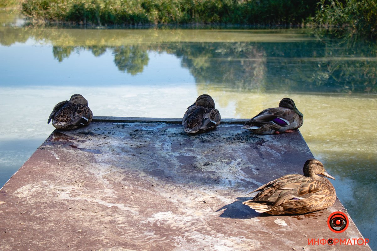 Фото Максим Якушев