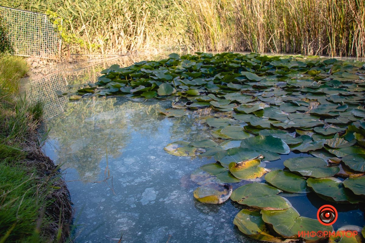 Фото Максим Якушев
