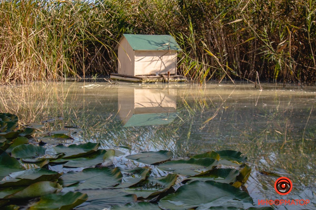 Фото Максим Якушев