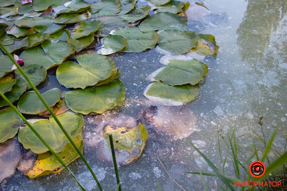 Фото Максим Якушев