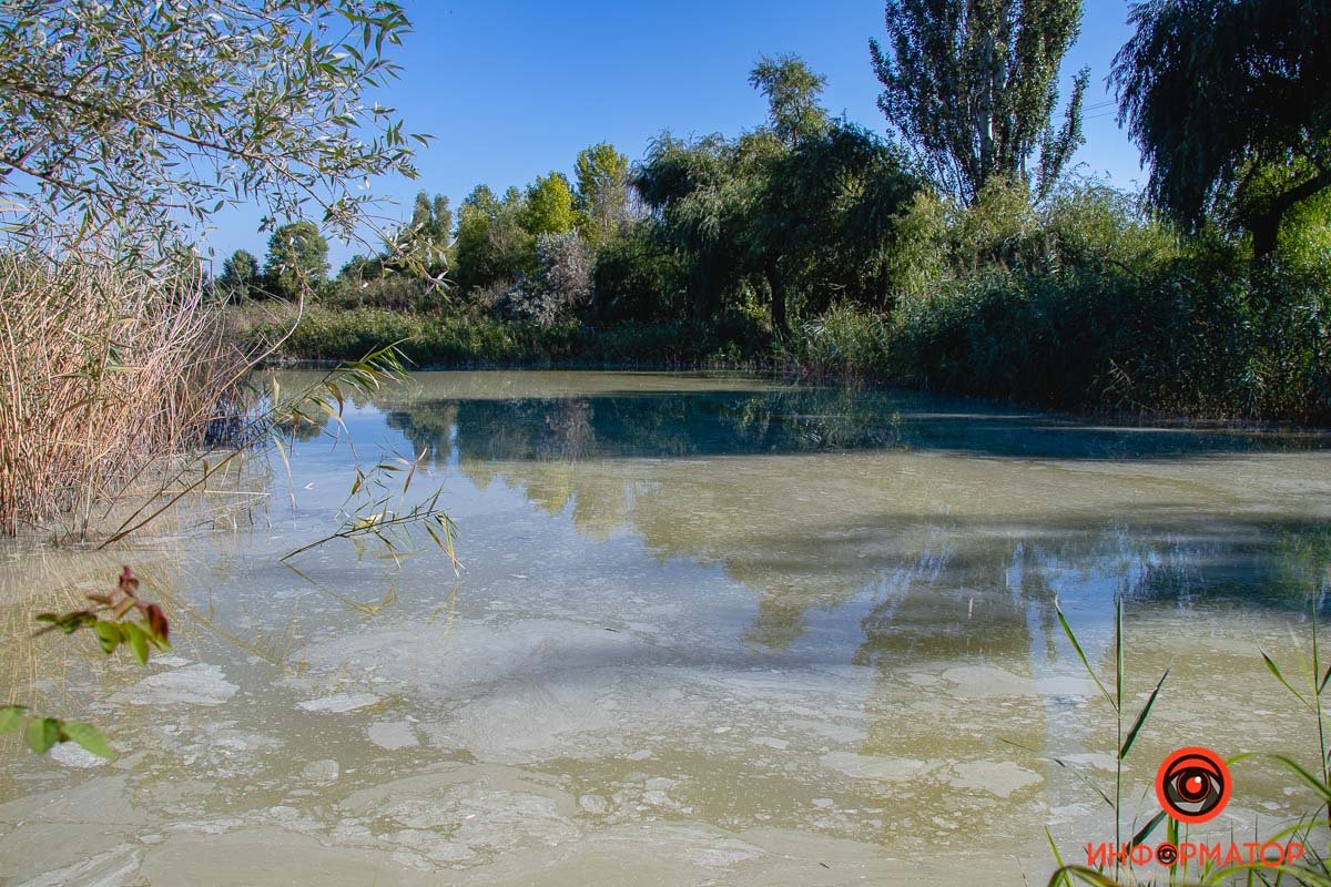 Фото Максим Якушев