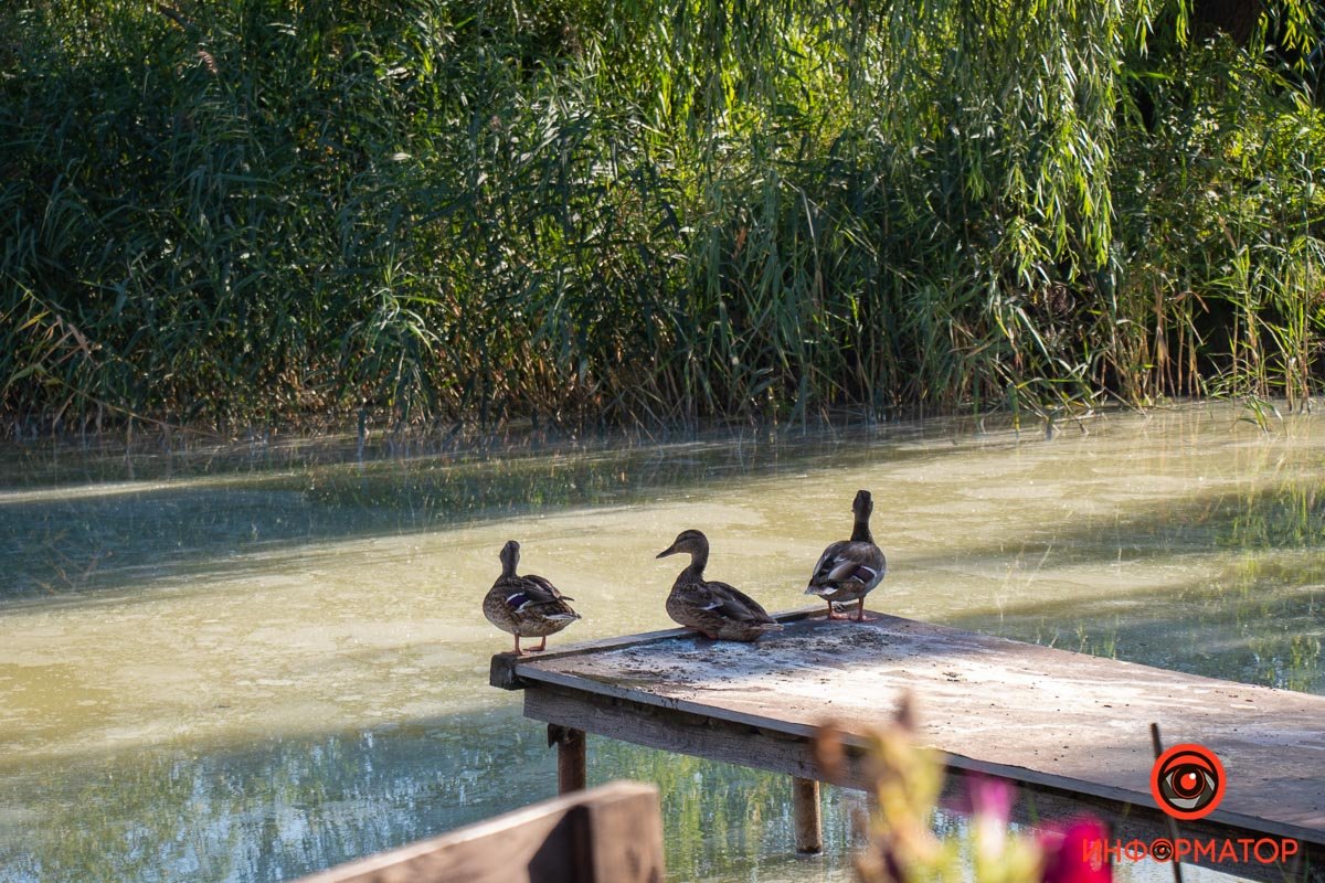 Фото Максим Якушев