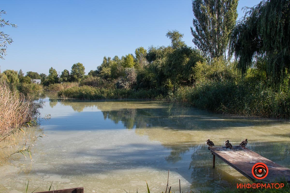 Фото Максим Якушев