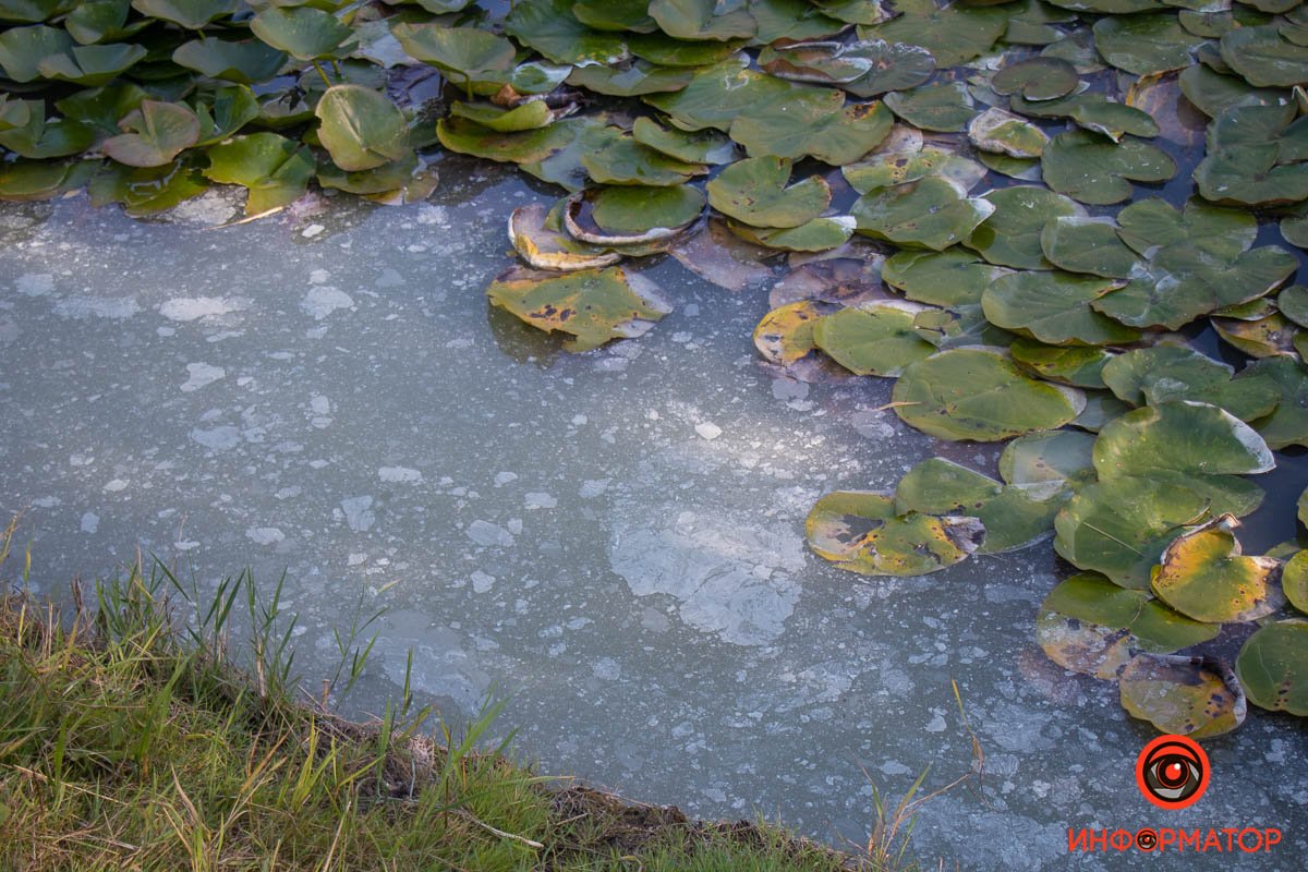 Фото Максим Якушев