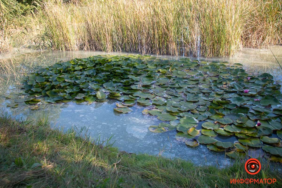 Фото Максим Якушев