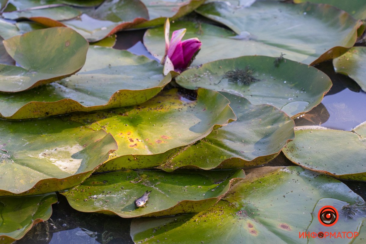 Фото Максим Якушев