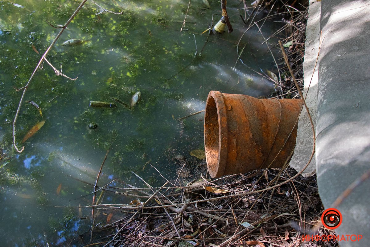 Фото Максим Якушев