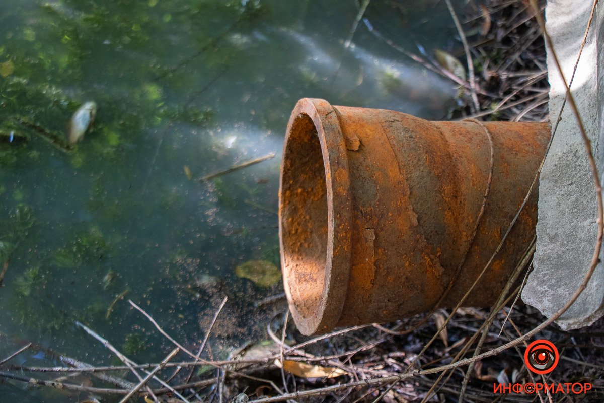 Фото Максим Якушев