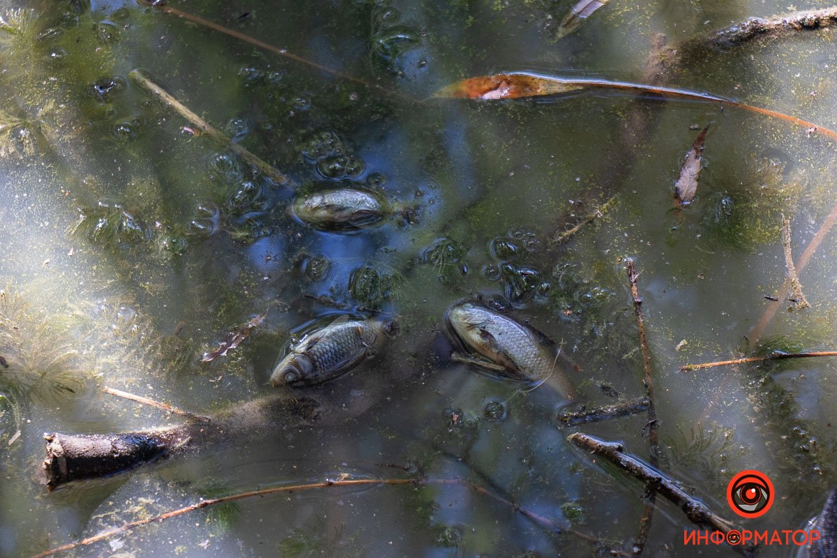 Фото Максим Якушев