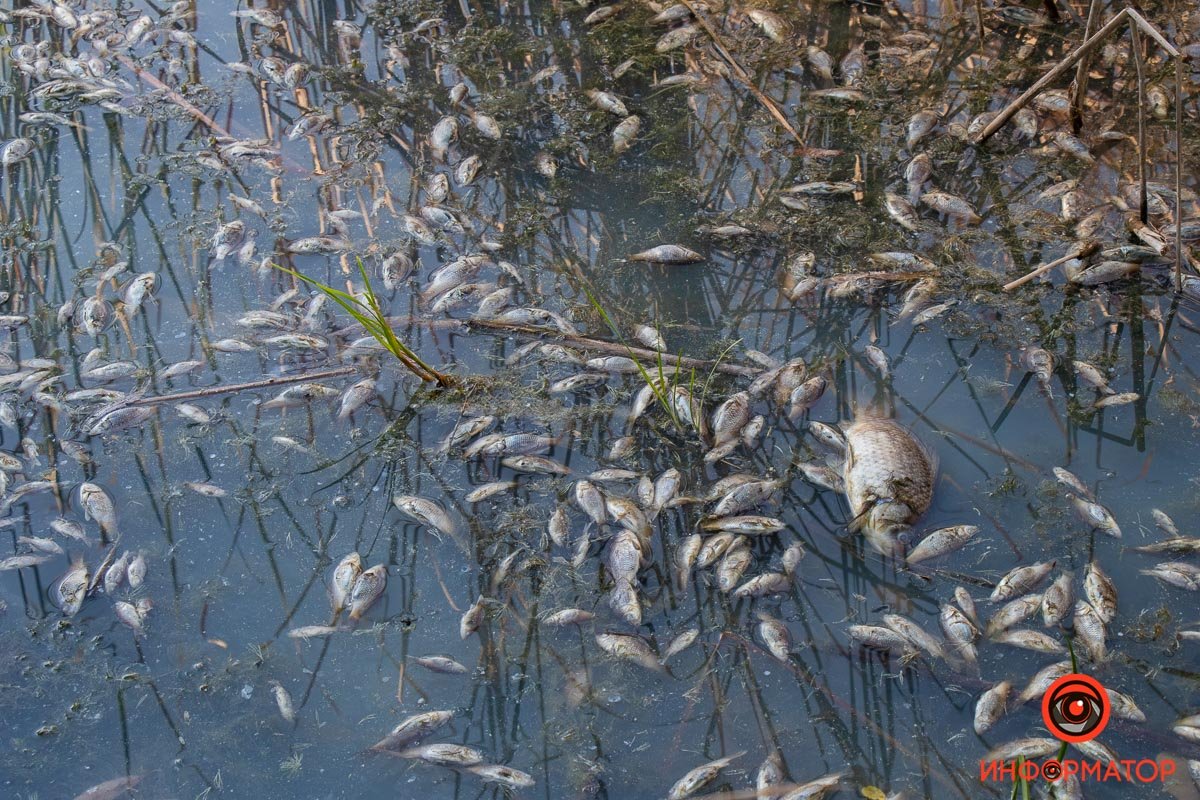 Фото Максим Якушев