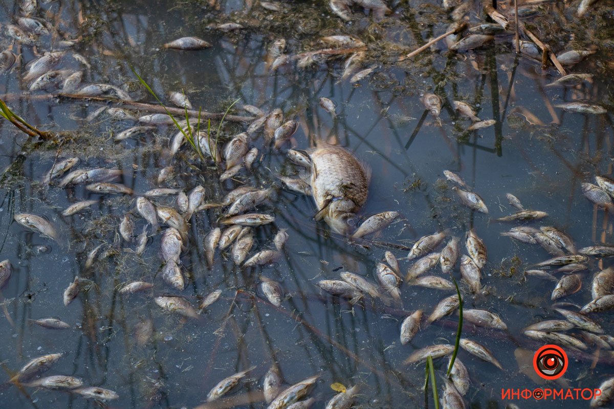 Фото Максим Якушев