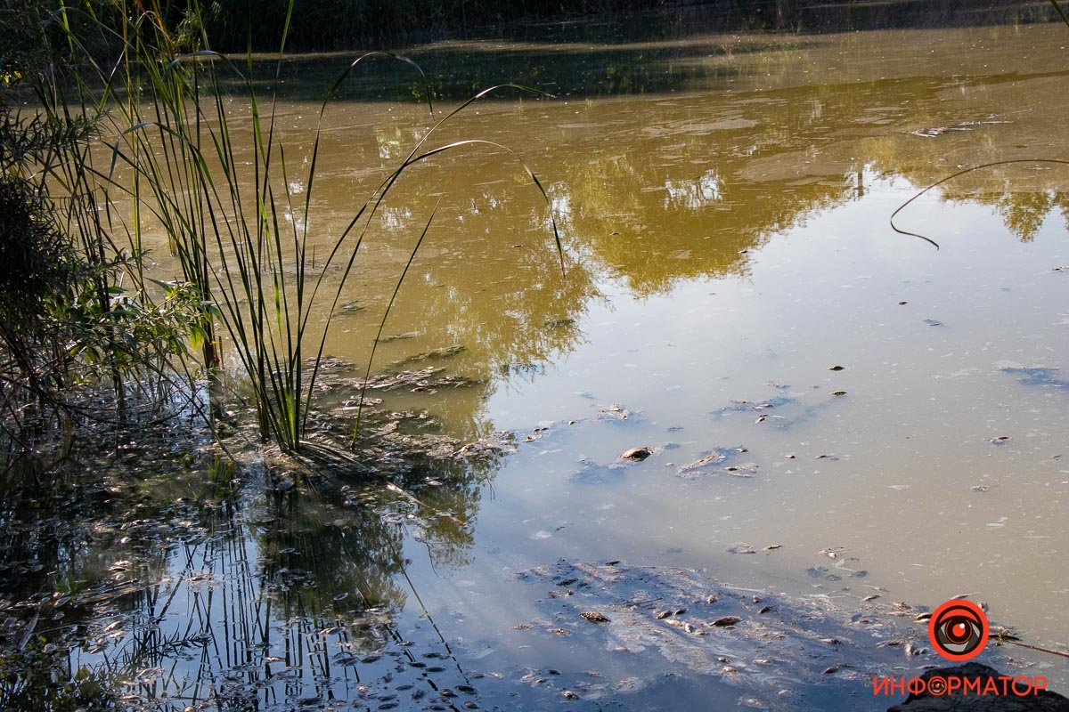 Фото Максим Якушев