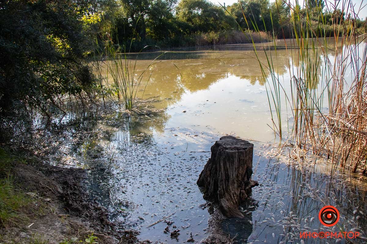 Фото Максим Якушев