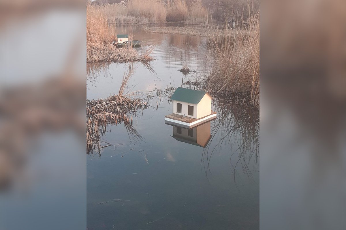 Озеро осенью 2020 г.